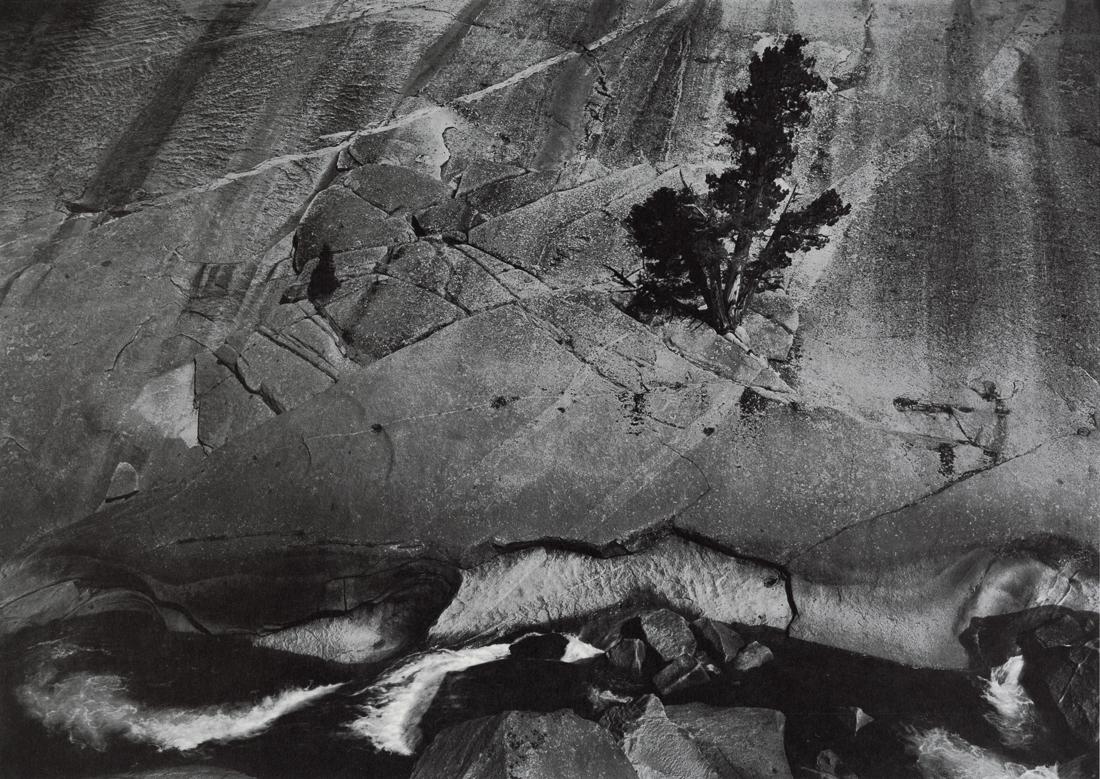 ANSEL ADAMS - Juniper And Cliffs, Yosemite, 1936 (1 of 1)