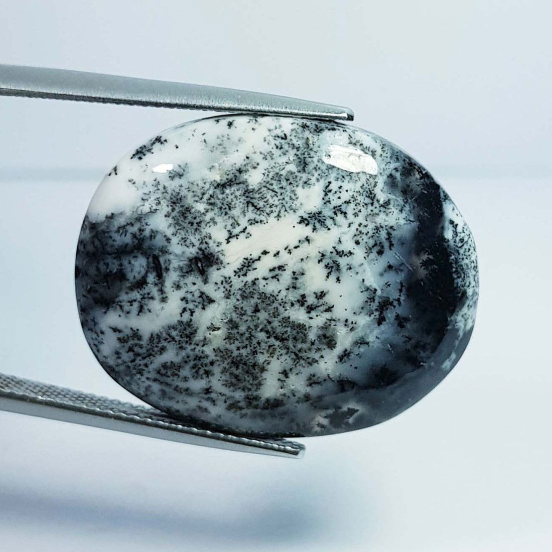 25.22 ctz Natural Dendritic Opal (1 of 4)