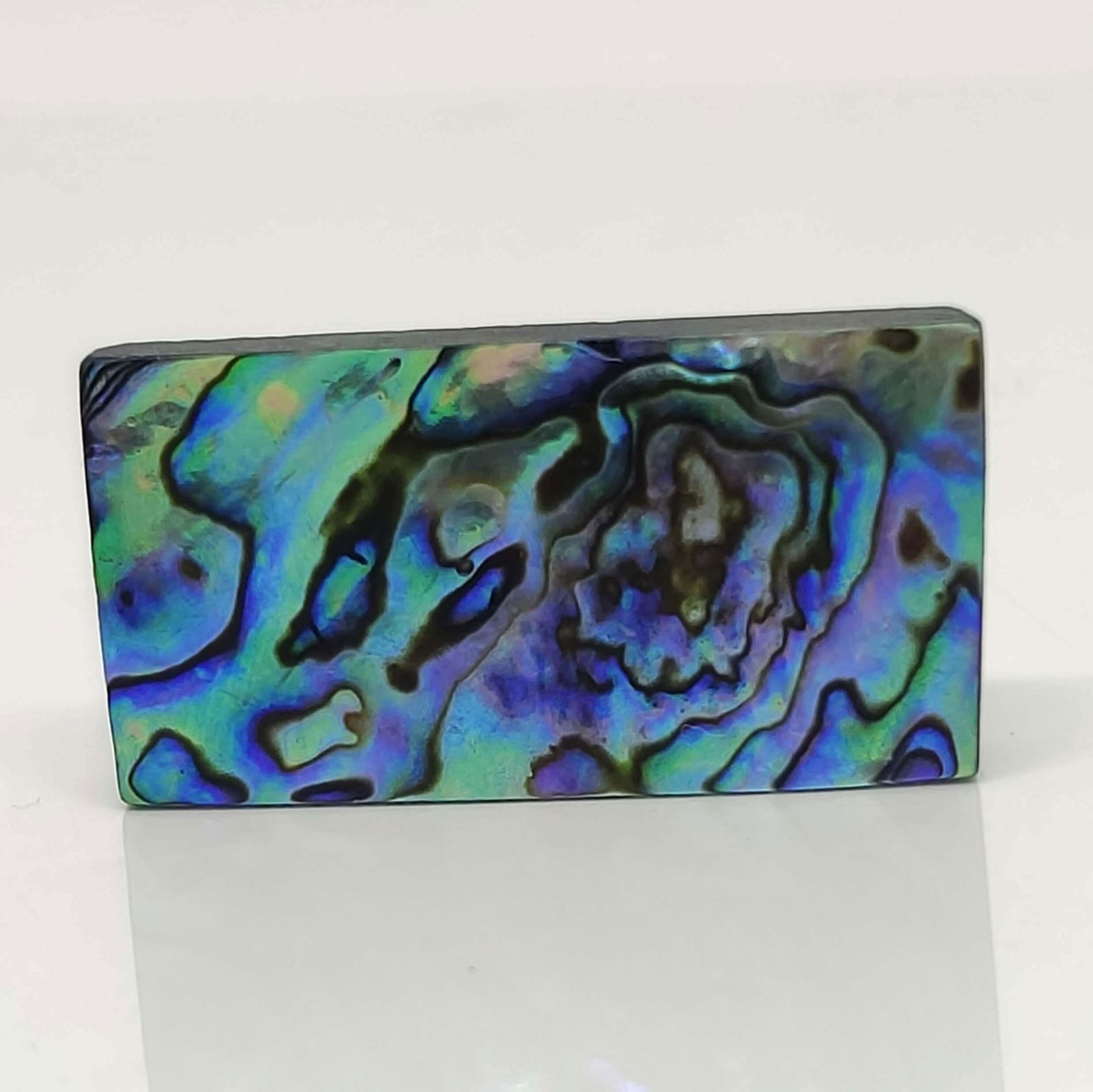 33.60 ct Natural Australian Abalone Shell: No Reserve! Title: 33.60 ct Natural Australian Abalone Shell Additional Information: Gemstones: Natural Abalone Shell Carat Weights: 33.60 ct Size/Dimensions: 32 X 17 X 5.40 mm Materials & Techniques: