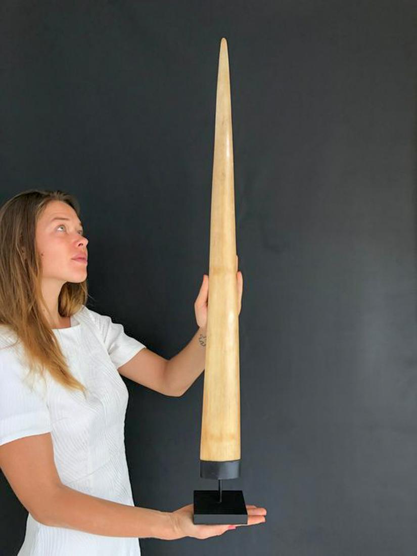 Fine Large Swordfish Tusk with custom stand: Title: Fine Large Swordfish Tusk with custom stand Maker: Unknown Origin: Indonesia Date/Period: 2022 Materials: Xiphius Gladius, Bone, Steel Dimensions:Height including stand: 95 cm / 37.4 inches Des