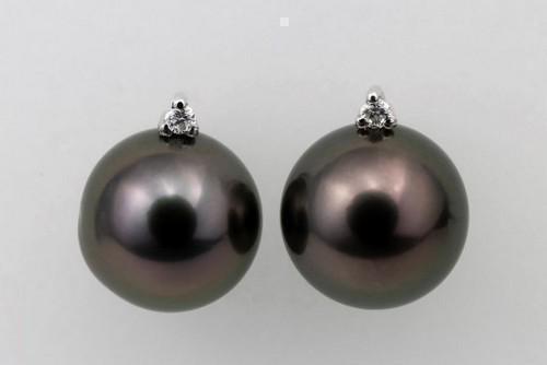 9x10mm Round Black Peacock Tahitian Pearls - 14 kt. White gold - Earrings - 0.04 ct (1 of 8)