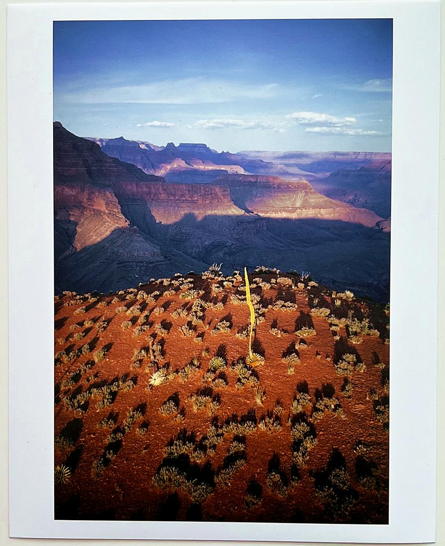 Joel Meyerowitz: Grand Canyon, Arizona, 1973: 8" x 10" pigment print photograph, edition of 70 signed and numbered verso Reserve: $450.00 Shipping: Domestic: Flat-rate of $20.00 to anywhere within the contiguous U.S. International: Foreign shippi