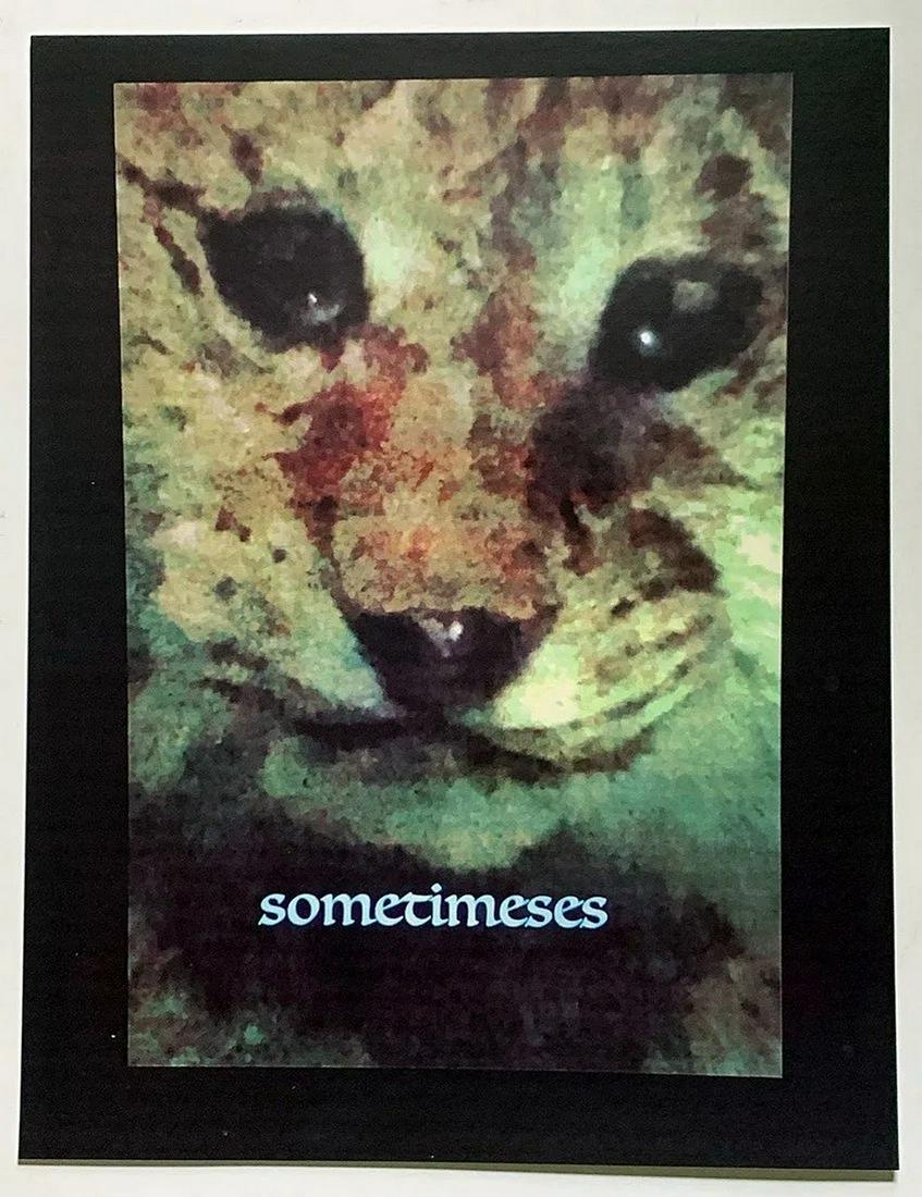 Trisha Donnelly: Sometimeses 2018 (1 of 1)