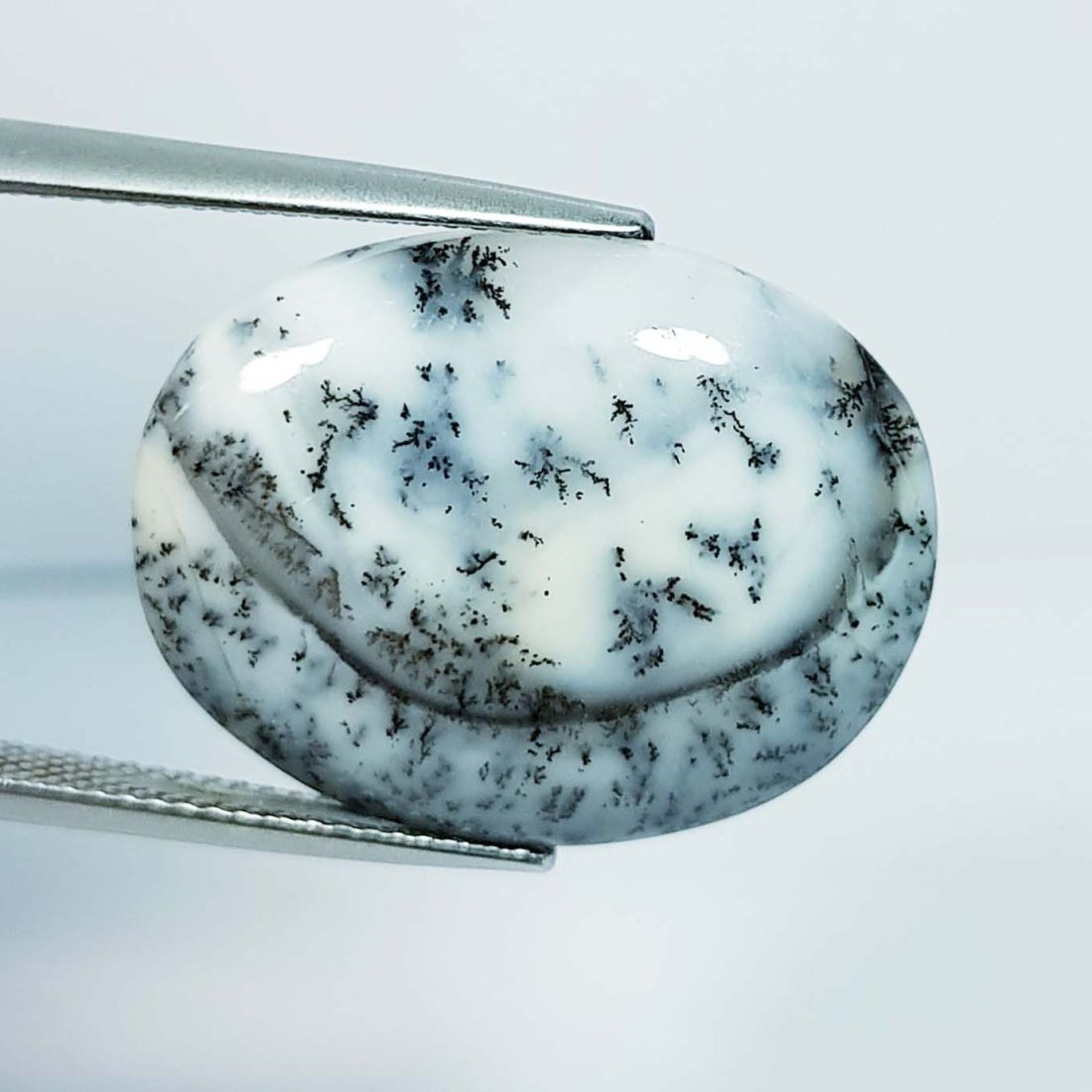 16.72 Ctz Natural Fine Quality Dendritic Opal (1 of 4)