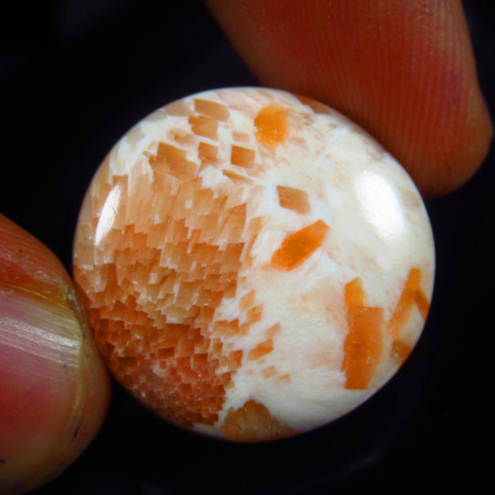 Natural Jasper Quartz - 25.13 Ct: No Reserve! Title: Natural Jasper Quartz - 25.13 Ct Origin: Brazil Weight: 25.13 Size/Dimensions: 24.0 x 24.0 x 6.5 mm Additional Information: Pieces : 1 No's / Shape : Round Cabochon / Color : Orange