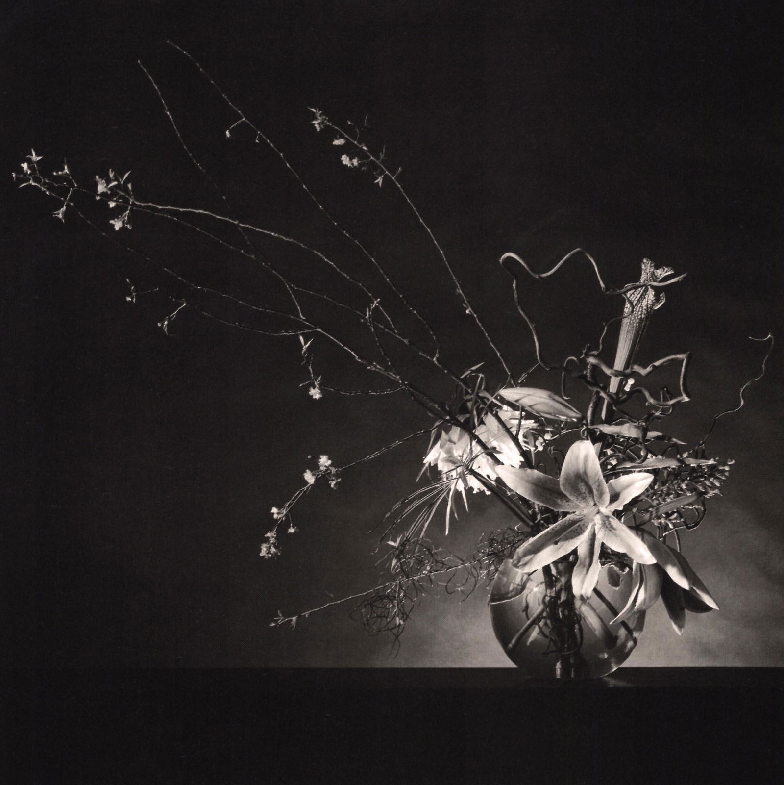 MAPPLETHORPE - Flower Arrangement, 1982 (1 of 1)