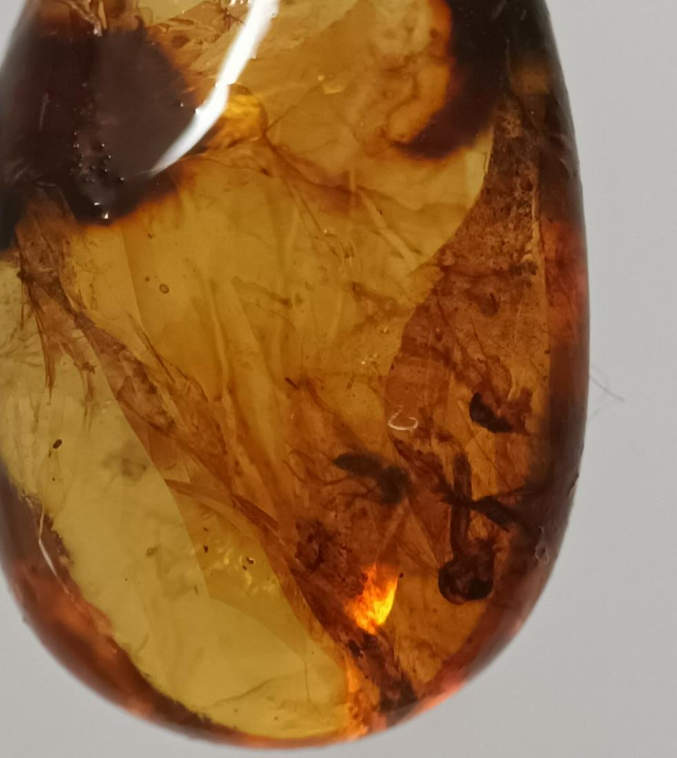 100 MILL YEARS OLD BURMTE AMBER WITH INSECT: Title: 100 MILL YEARS OLD BURMTE AMBER WITH INSECT Origin: Hukawang Valley, Kachin State, Myanmar Size: 1.1x0.85x0.55 cm / 0.41 gram Description: clear yellow burmite amber with insect Reserve: $18.00