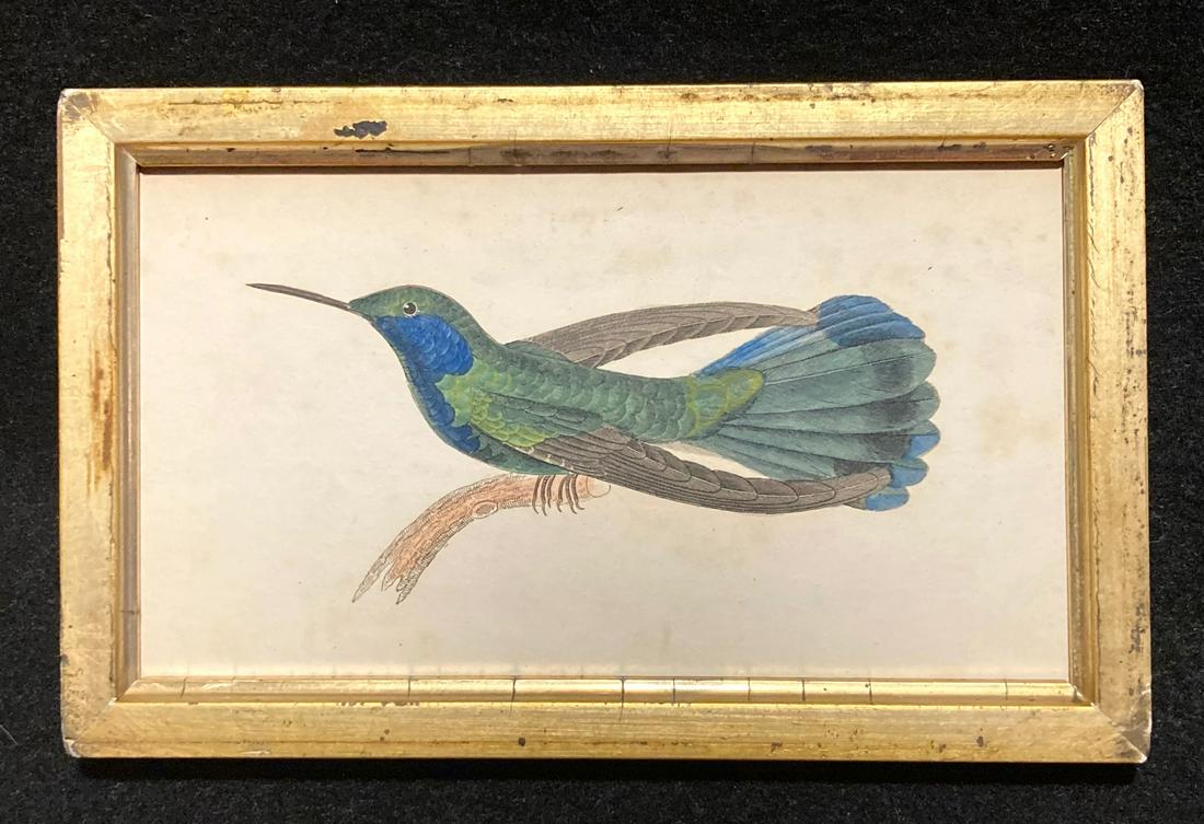 1836 hand colored hummingbird engraving (1 of 2)