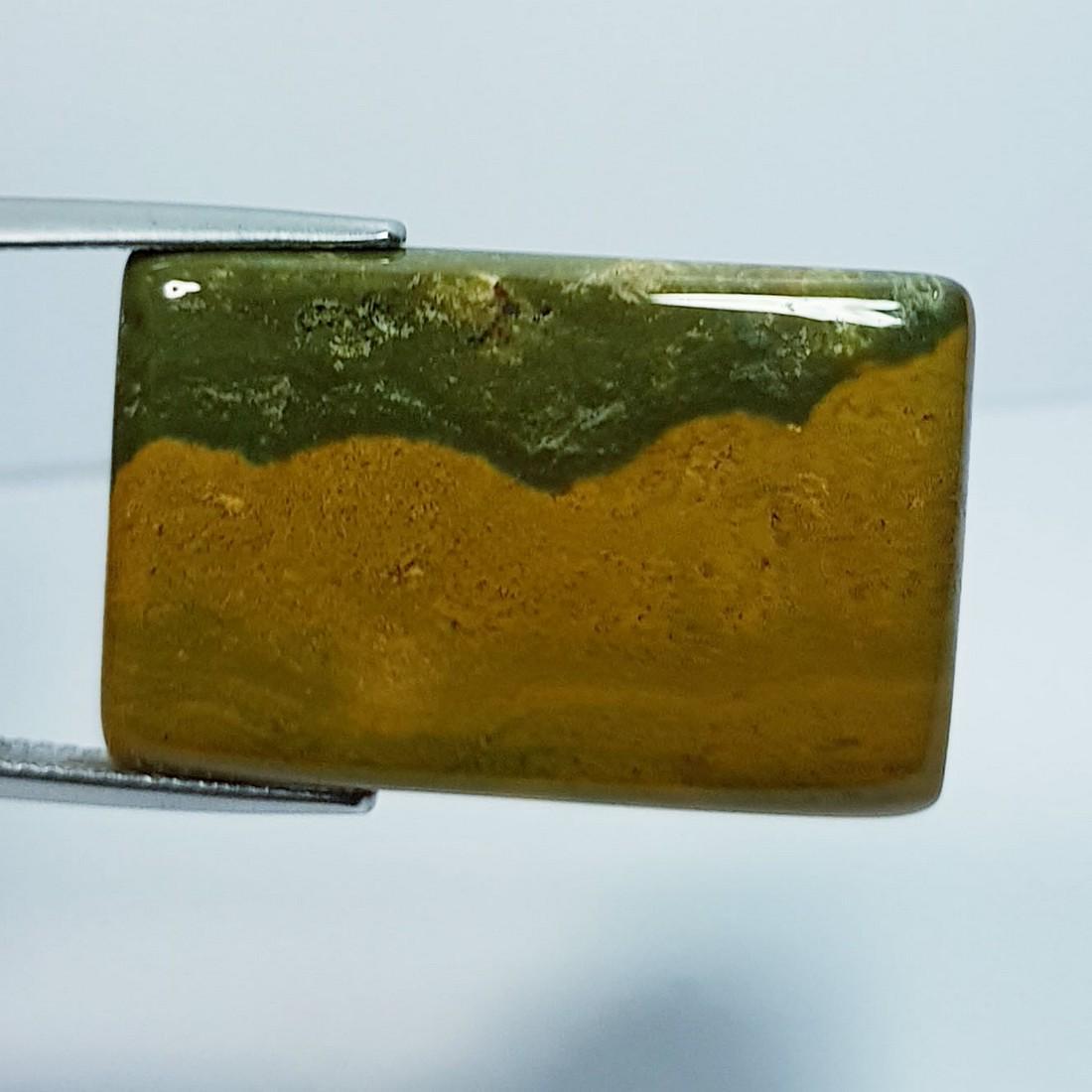 27.70 ctz" Natural Ocean Jasper: No Reserve! Title:27.70 ctz" Natural Ocean Jasper Color/Clarity:Green / Opaque Gemstones:Jasper Carat Weights:27.7 Size/Dimensions:29.05 18.70 x 4.50 Additional Information:Rectangle / Brazil Shipping