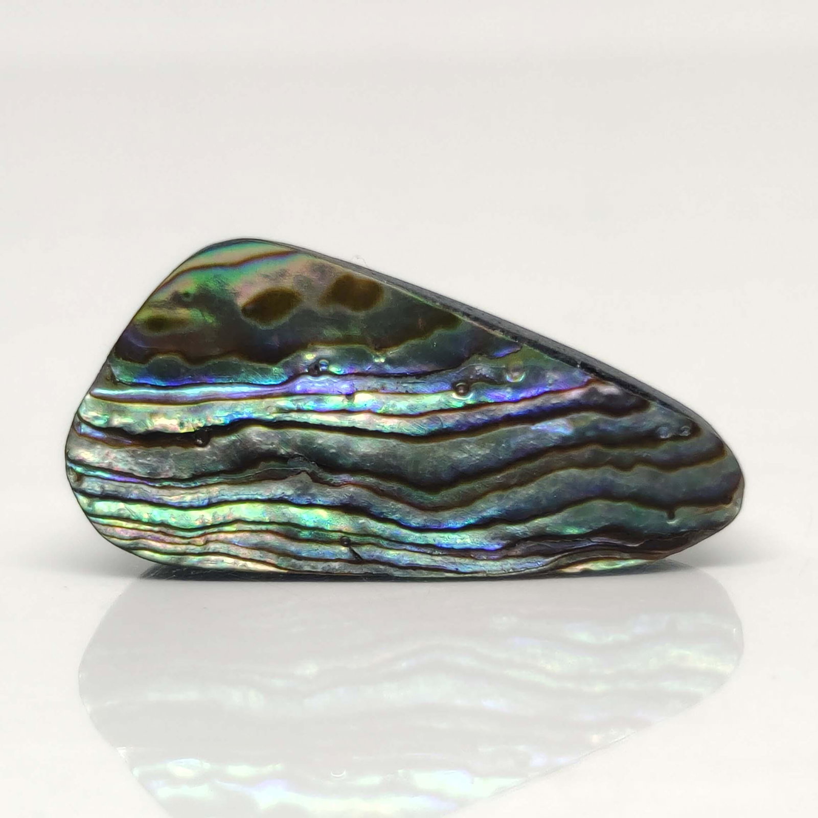 14.05 ct Natural Australian Abalone Shell (1 of 2)