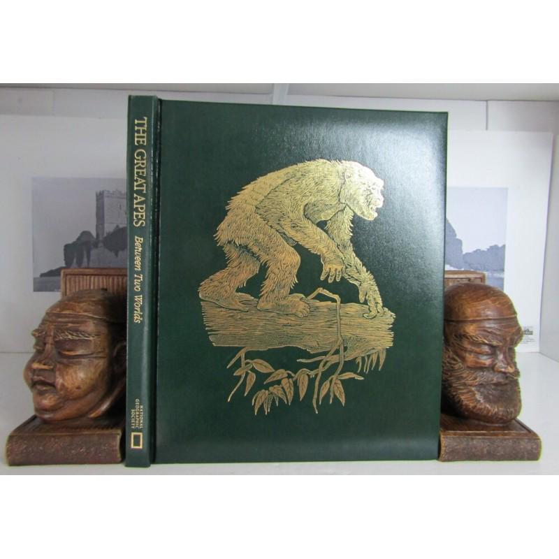 The Great Apes (1 of 7)