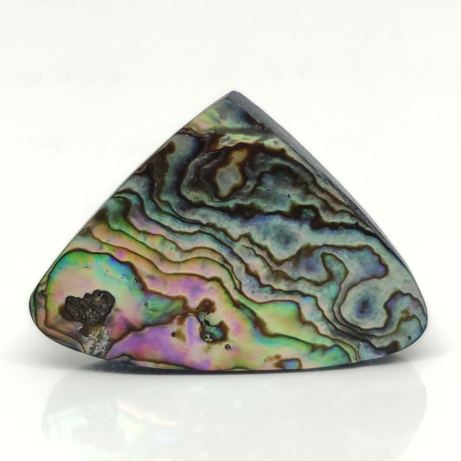 33.80 ct Natural Australian Abalone Shell (1 of 2)