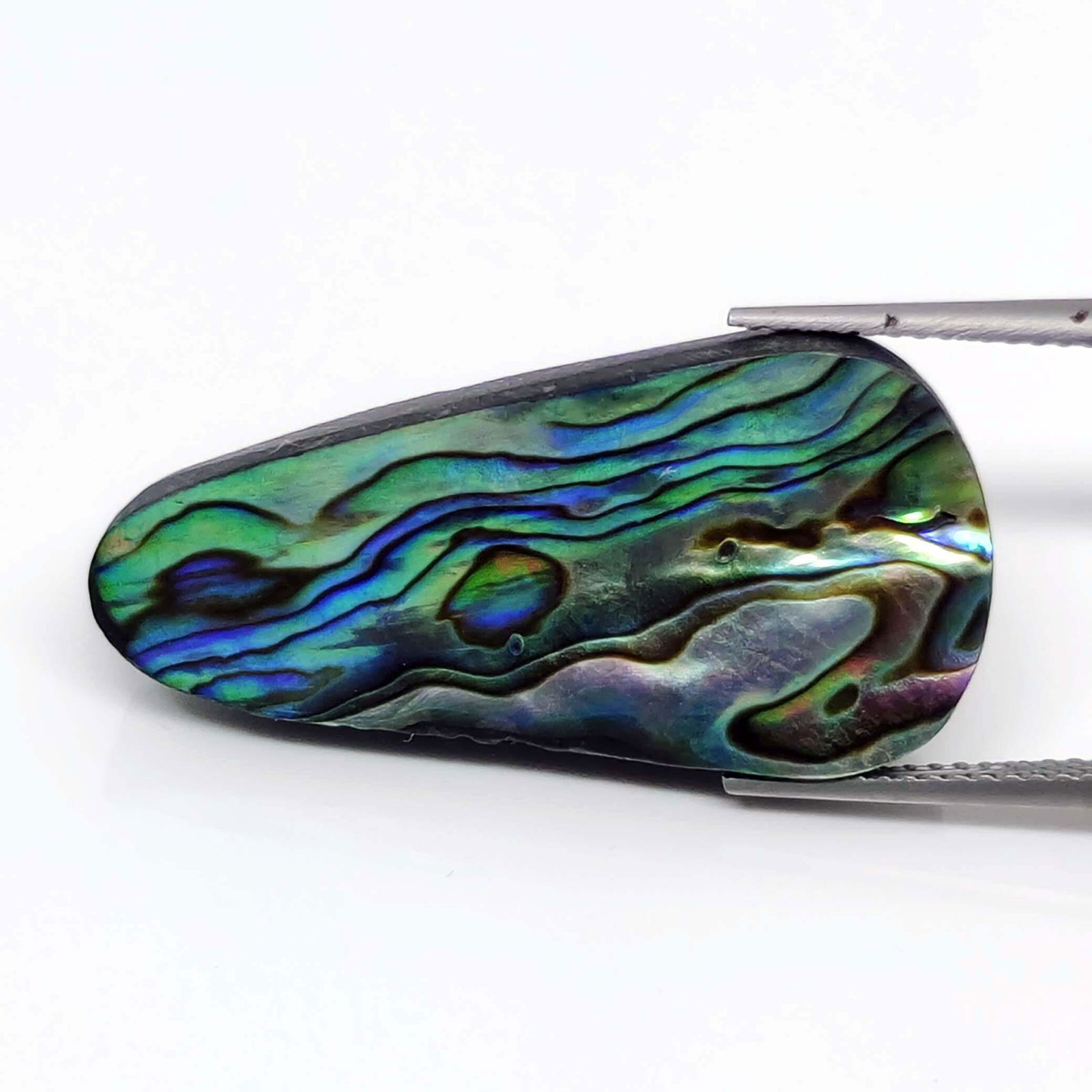 19.65 ct Natural Australian Abalone Shell: No Reserve! Title: 19.65 ct Natural Australian Abalone Shell Description: Gemstones: Natural Abalone Shell Carat Weights: 19.65 ct Size/Dimensions: 30 X 15 X 5 mm Gemstone: Abalone Shell Shipping: