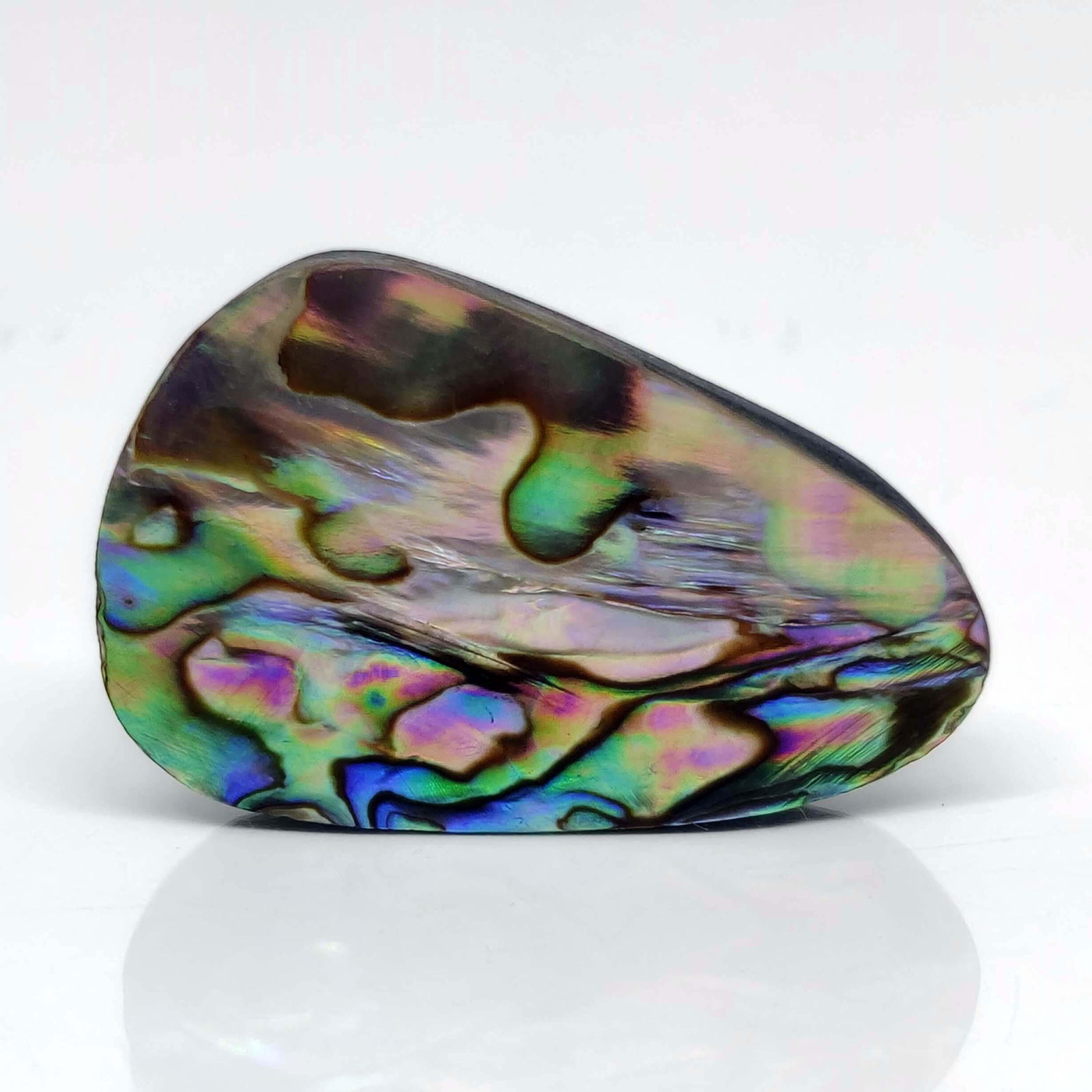 33.60 ct Natural Australian Abalone Shell: No Reserve! Title: 33.60 ct Natural Australian Abalone Shell Description: Gemstones: Natural Abalone Shell Carat Weights: 33.60 ct Size/Dimensions: 33.50 X 23 X 6 mm Gemstone: Abalone Shell Shipping: