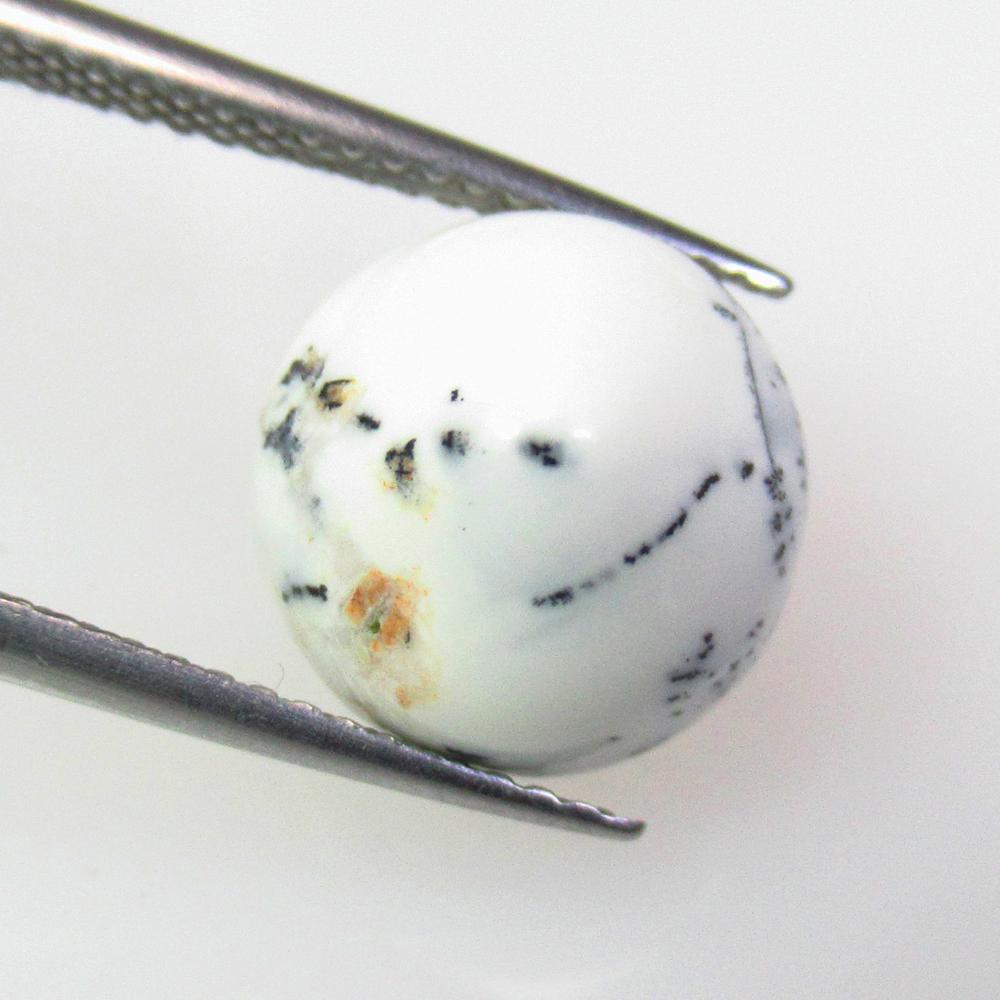 4.52 Ctw Natural Dendrite Opal Round Cab (1 of 2)