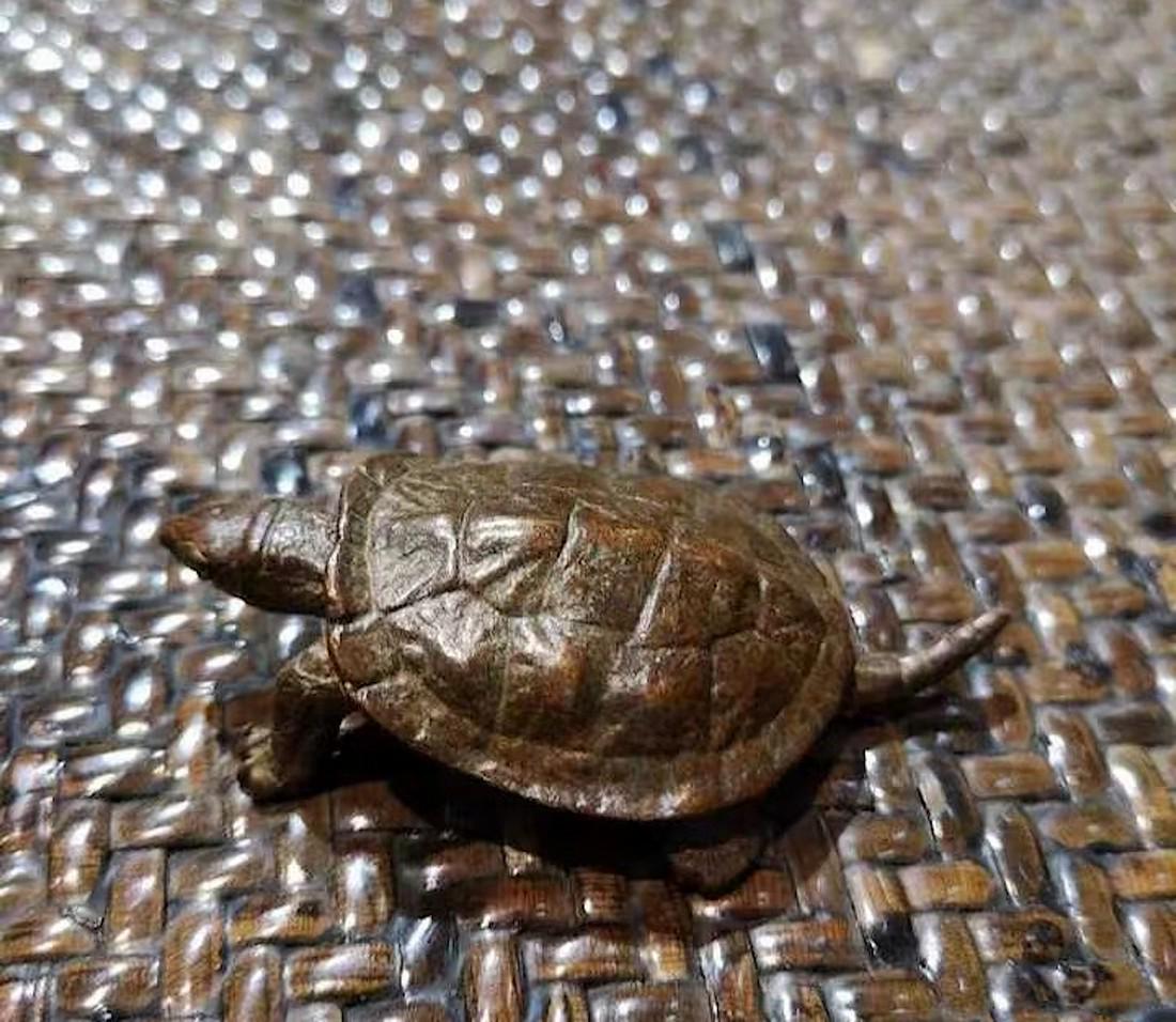 Japanese Showa period bronze turtle sculpture (1 of 3)