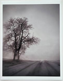 Todd Hido: 9216-B (Landscapes) color photograph 8" x 10" signed in pencil verso: Color photograph 8" x 10" signed in pencil verso Reserve: $300.00 Shipping: Domestic: Flat-rate of $15.00 to anywhere within the contiguous U.S. International: Foreign shipping rates are determined by