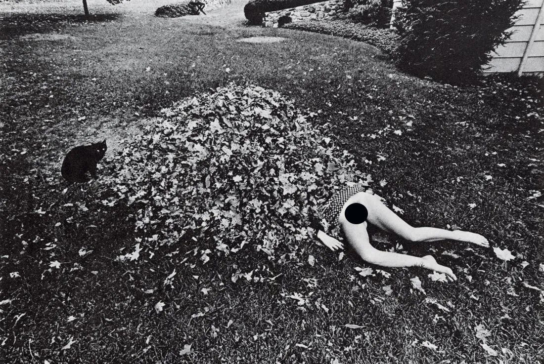 LES KRIMS - Untitled (Black Cat & Leaves), 1970 (1 of 2)