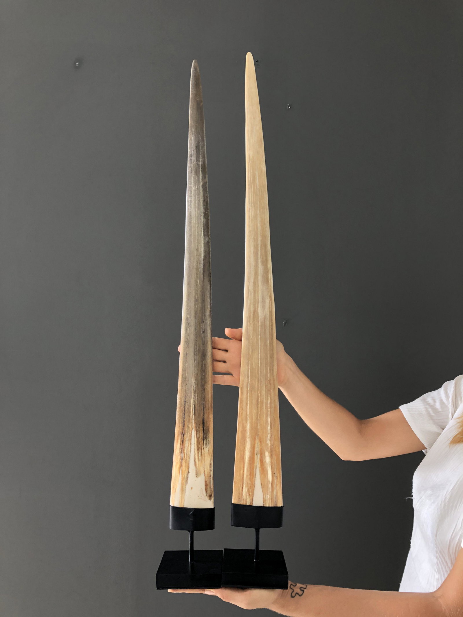 Pair of Swordfish Tusks with custom stands: Title: Pair of Swordfish Tusks with custom stands Maker: Unknown Origin: Indonesia Date/Period: 2022 Materials: Xiphius Gladius, Bone, Steel Dimensions:Height incl. stand: Tusk 1: 90 cm / 35.4 inches 