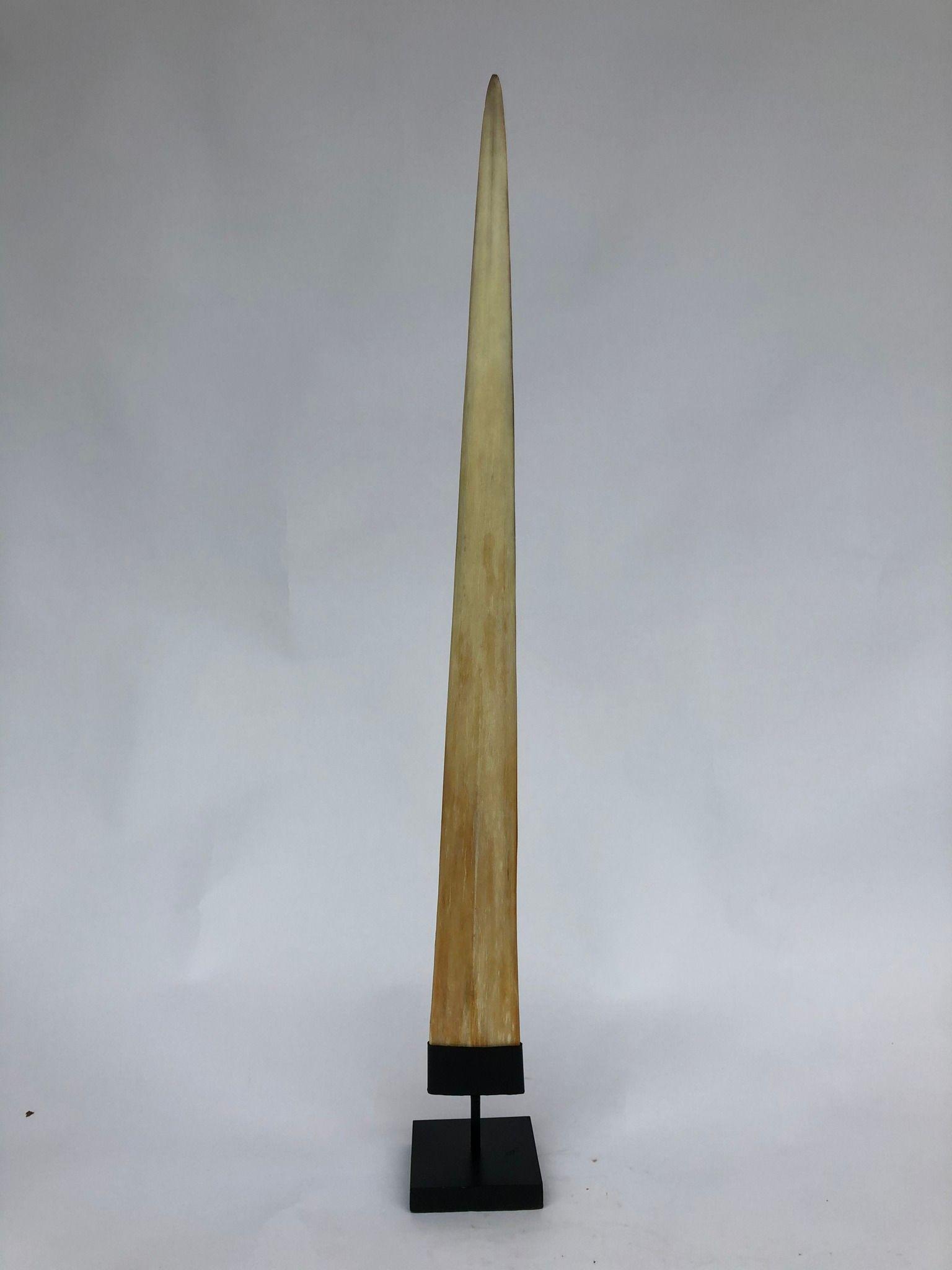 Large swordfish tusk with custom stand: Title: Large swordfish tusk with custom stand Maker: Unknown Origin: Indonesia Date/Period: 2022 Materials: Xiphius Gladius, Bone, Steel Dimensions:Height incl. stand: 88 cm / 34.6 inches Description: