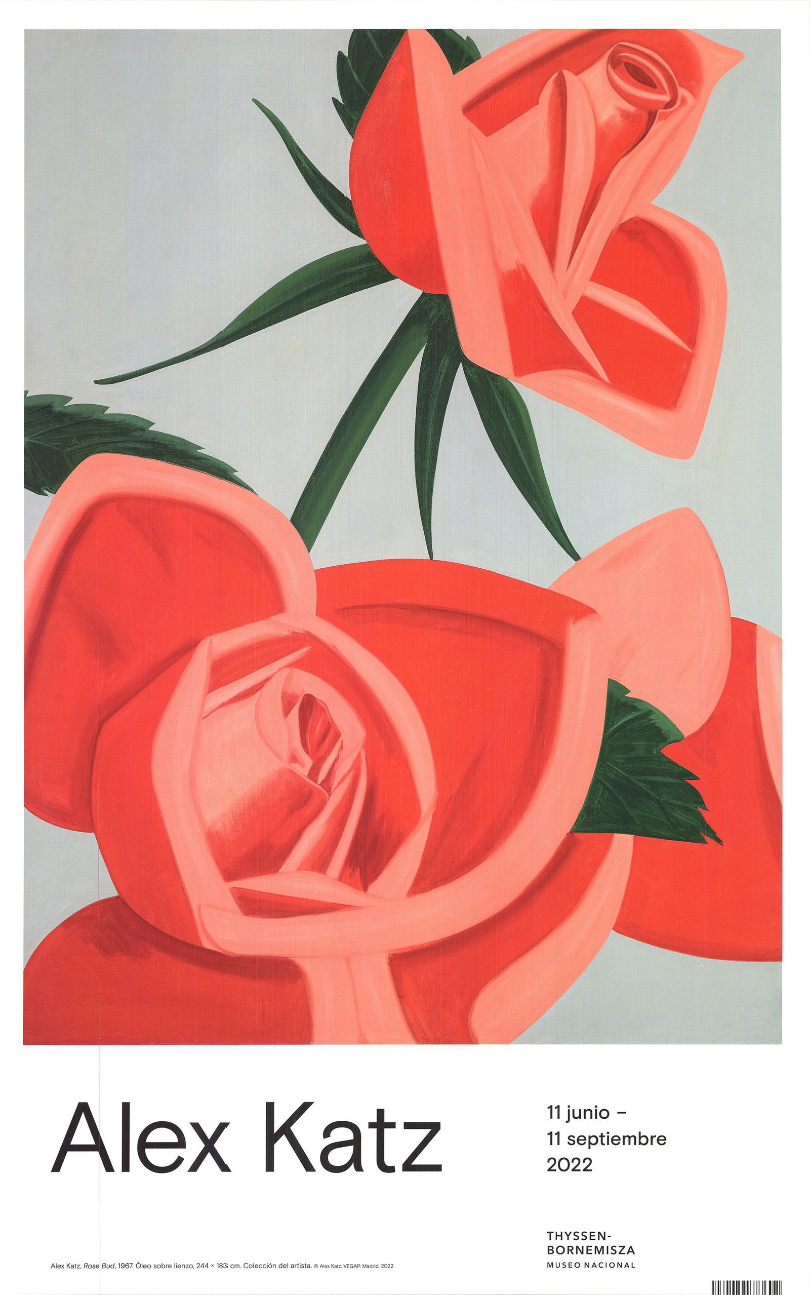 Alex Katz - Rose Bud - 2022 Offset Lithograph 27.5" x 17.5" (1 of 3)