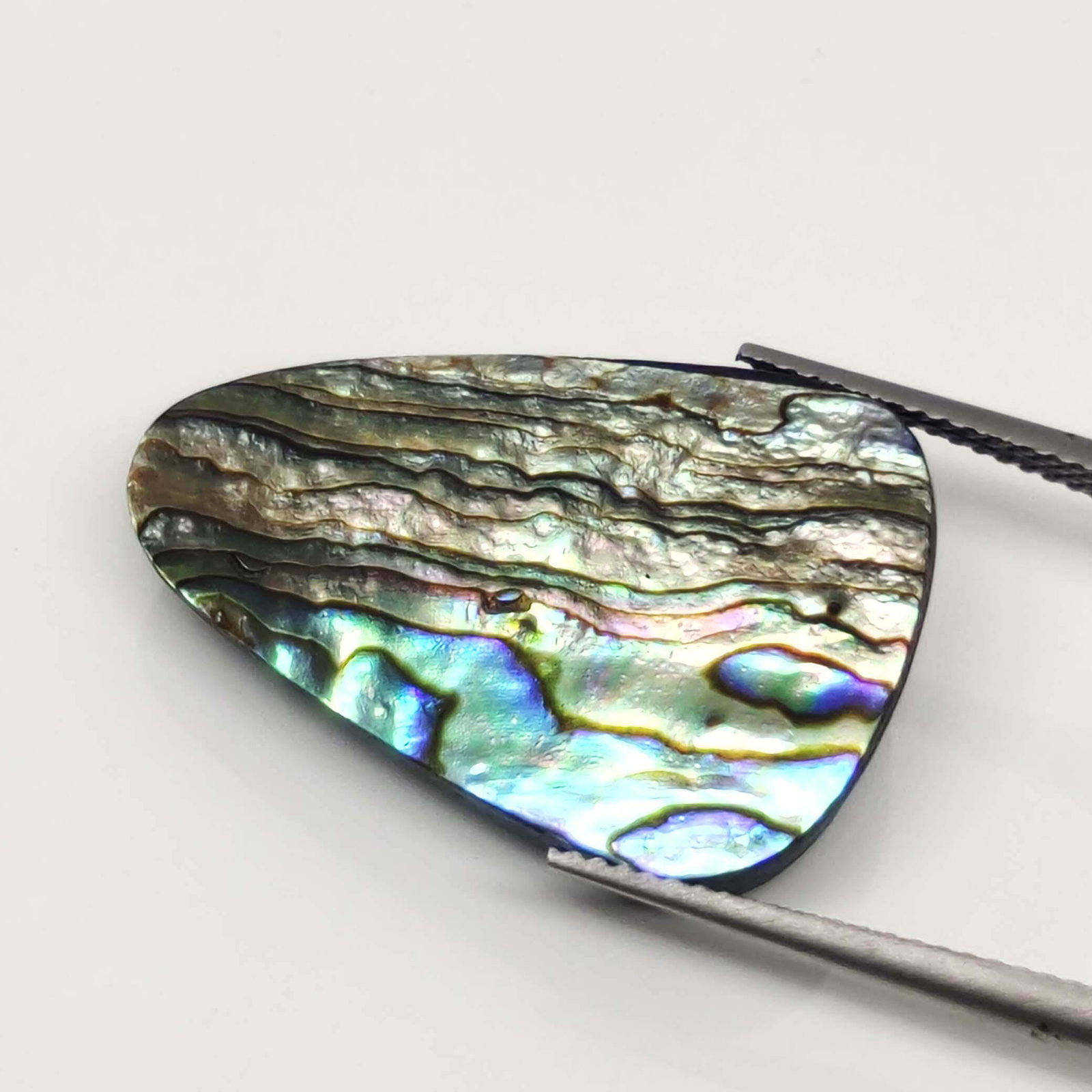 24.25 ct Natural Australian Abalone Shell: No Reserve! Title: 24.25 ct Natural Australian Abalone Shell Additional Information: Gemstones: Natural Abalone Shell Carat Weights: 24.25 ct Size/Dimensions: 27.50 X 18 X 5.70 mm Materials & Techniqu