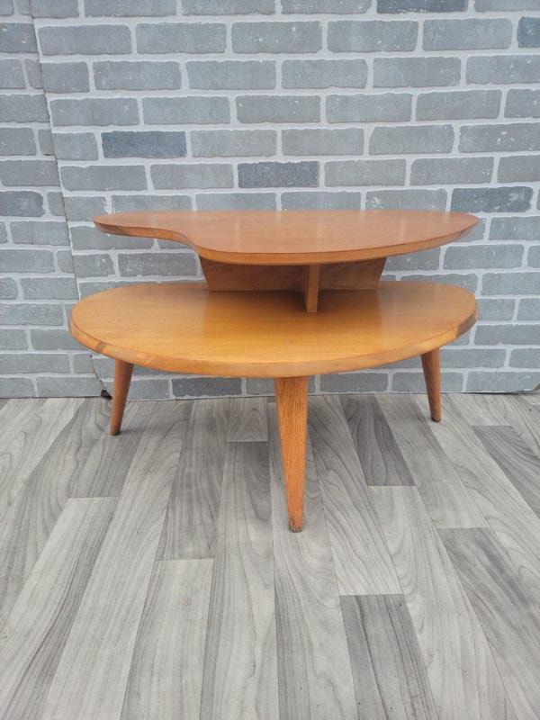 Mid Century Modern Two Tier Serpentine Cocktail Table (1 of 8)