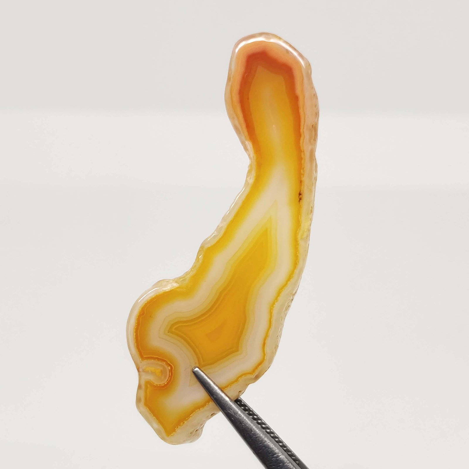 44 ct "Stunning Color" Natural Onyx Slice (1 of 2)