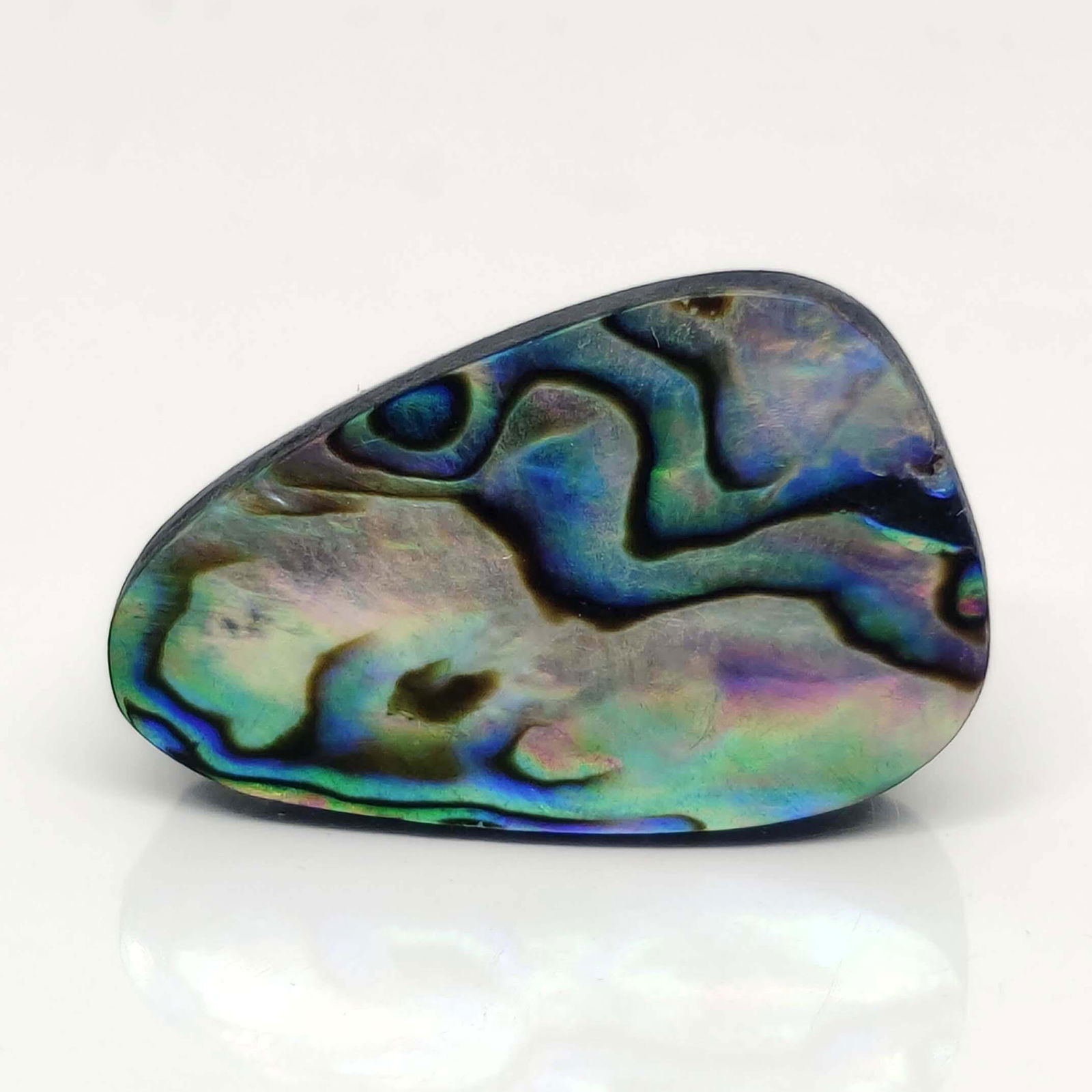 30.60 ct Natural Australian Abalone Shell (1 of 2)