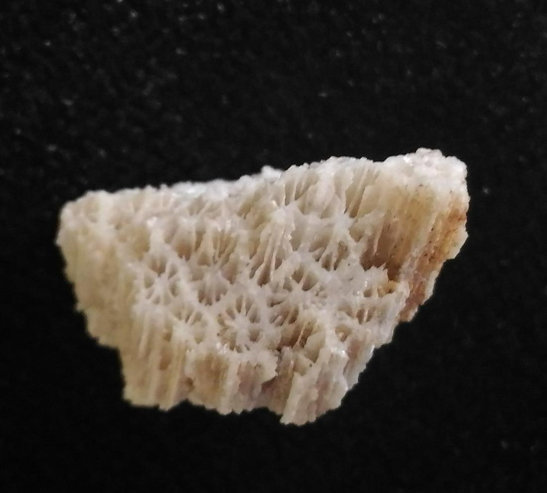 CORAL FOSSIL: Title: CORAL FOSSIL Origin: Panglao, Bohol, Visayas, Philippines Size: 2x1x1 cm / 3 gram Description: calcite crystals replacing fossil corals Reserve: $3.00 Shipping: Domestic: Flat-rate of $6.00 to