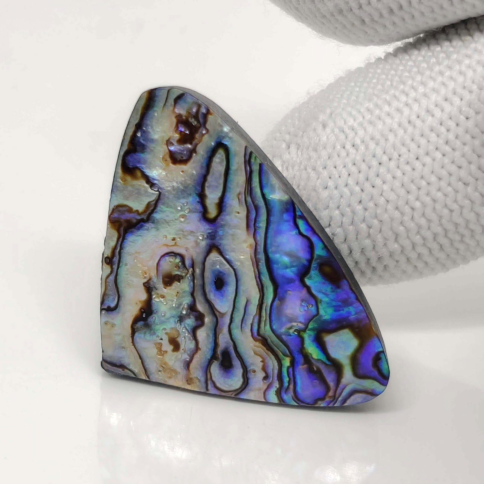 28.35 ct Natural Australian Abalone Shell (1 of 1)