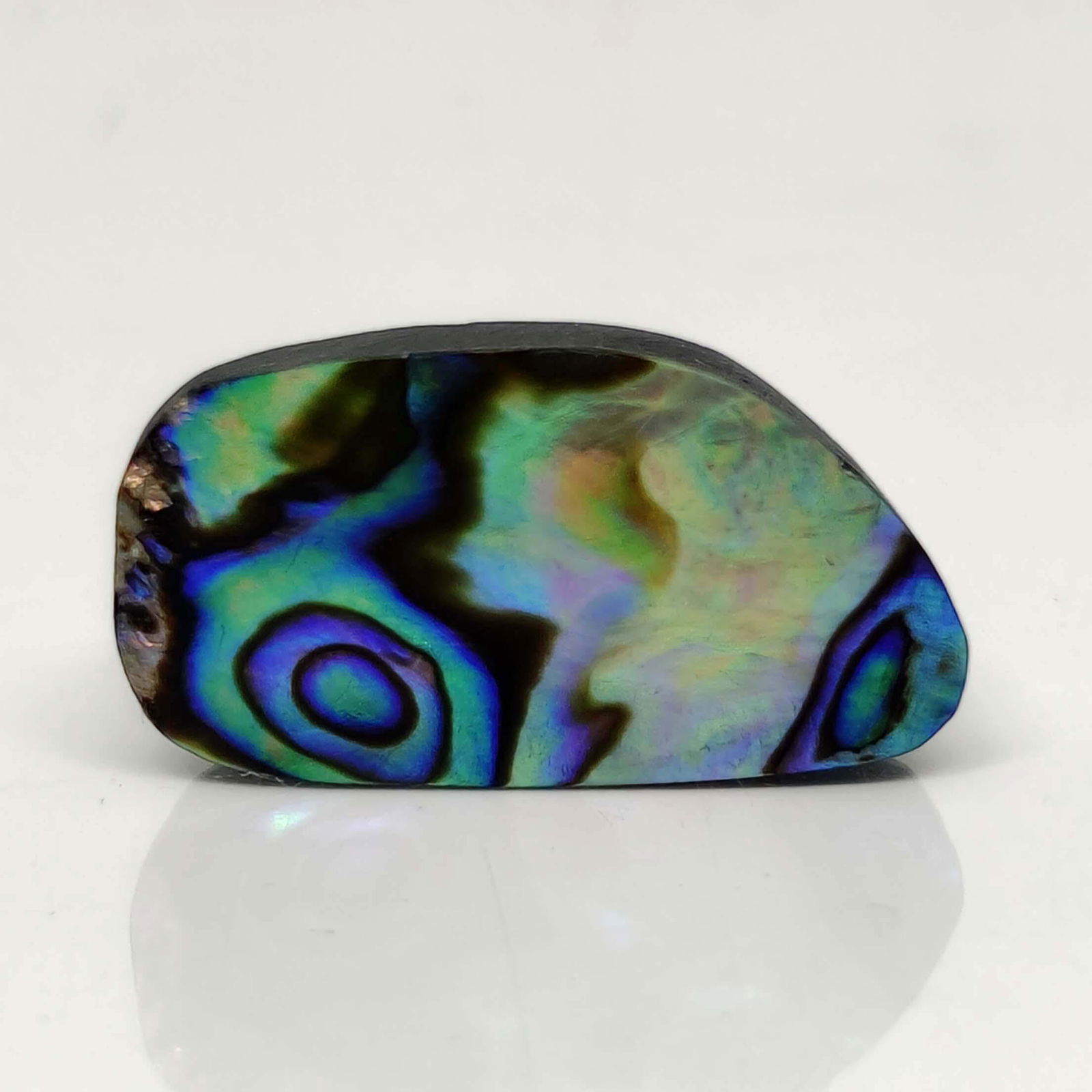 14.10 ct Natural Australian Abalone Shell: No Reserve! Title: 14.10 ct Natural Australian Abalone Shell Additional Information: Gemstones: Natural Abalone Shell Carat Weights: 14.10 ct Size/Dimensions: 24 X 13 X 4.50 mm Materials & Techniques: