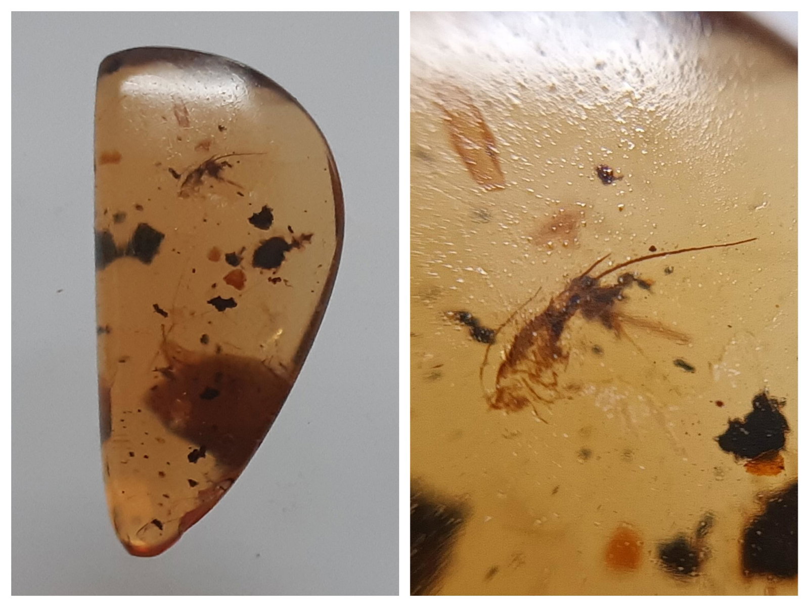 100 MILL YEARS OLD BURMITE AMBER WITH SILVERFISH: Title: 100 MILL YEARS OLD BURMITE AMBER WITH SILVERFISH Origin: Hukawang Valley, Kachin State, Myanmar Size: 2.5x1.25x0.55 cm / 1.08 gram Description: clear yellow burmite amber with silverfish Reserv
