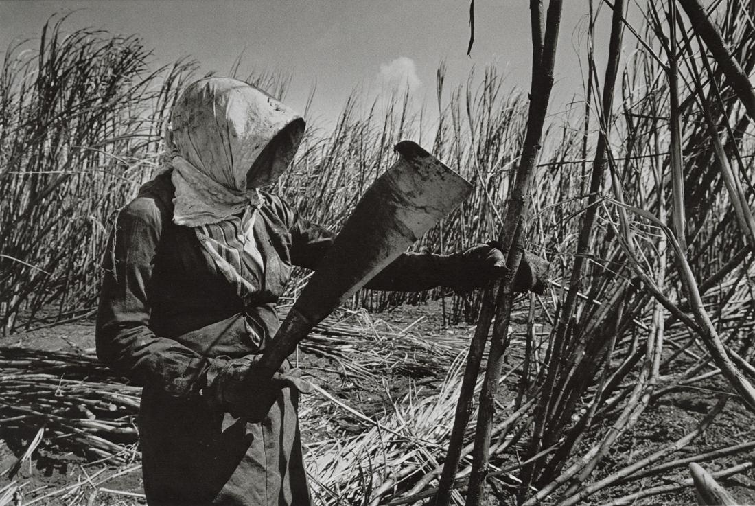 SEBASTIAO SALGADO - Brazil Sugar Cane Workers: Artist: Sebastiao Salgado Title: Brazil Sugar Cane from Series Workers Medium: Photo Litho, 1999, Italy Dimensions: 9.55x6.4" Description: Heat Wax Mounted on 11x14" Conservation Board Artist Bio: Seb