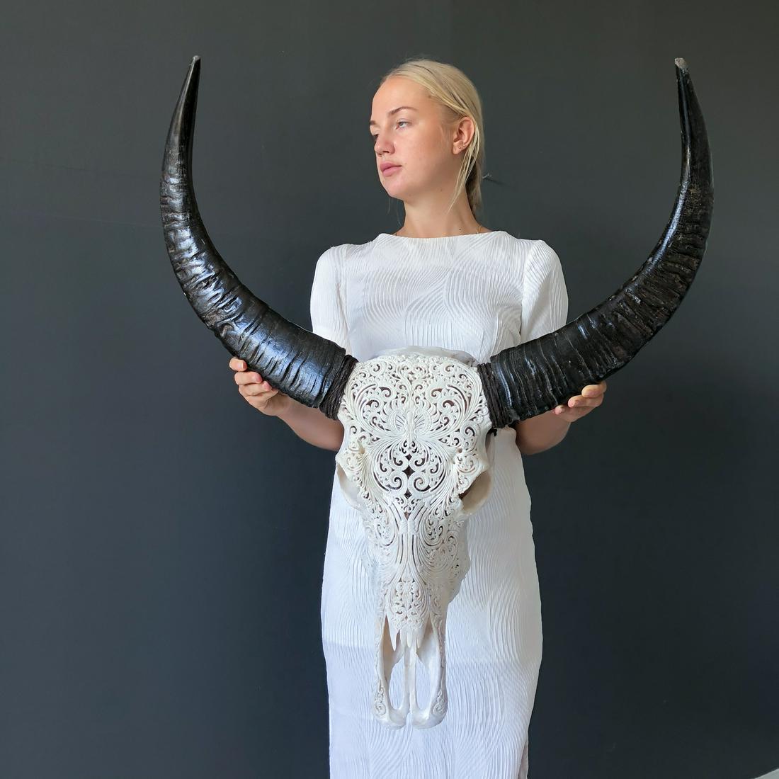 White Water Buffalo skull - Lotus motif: Title: White Water Buffalo skull - Lotus motif Maker: Unknown Origin: Indonesia Date/Period: 2022 Materials: Bubalis Bubalus, Bone, Horn Dimensions:Height: 83cm / 32.6 inches Width: 70cm / 27.5 inches