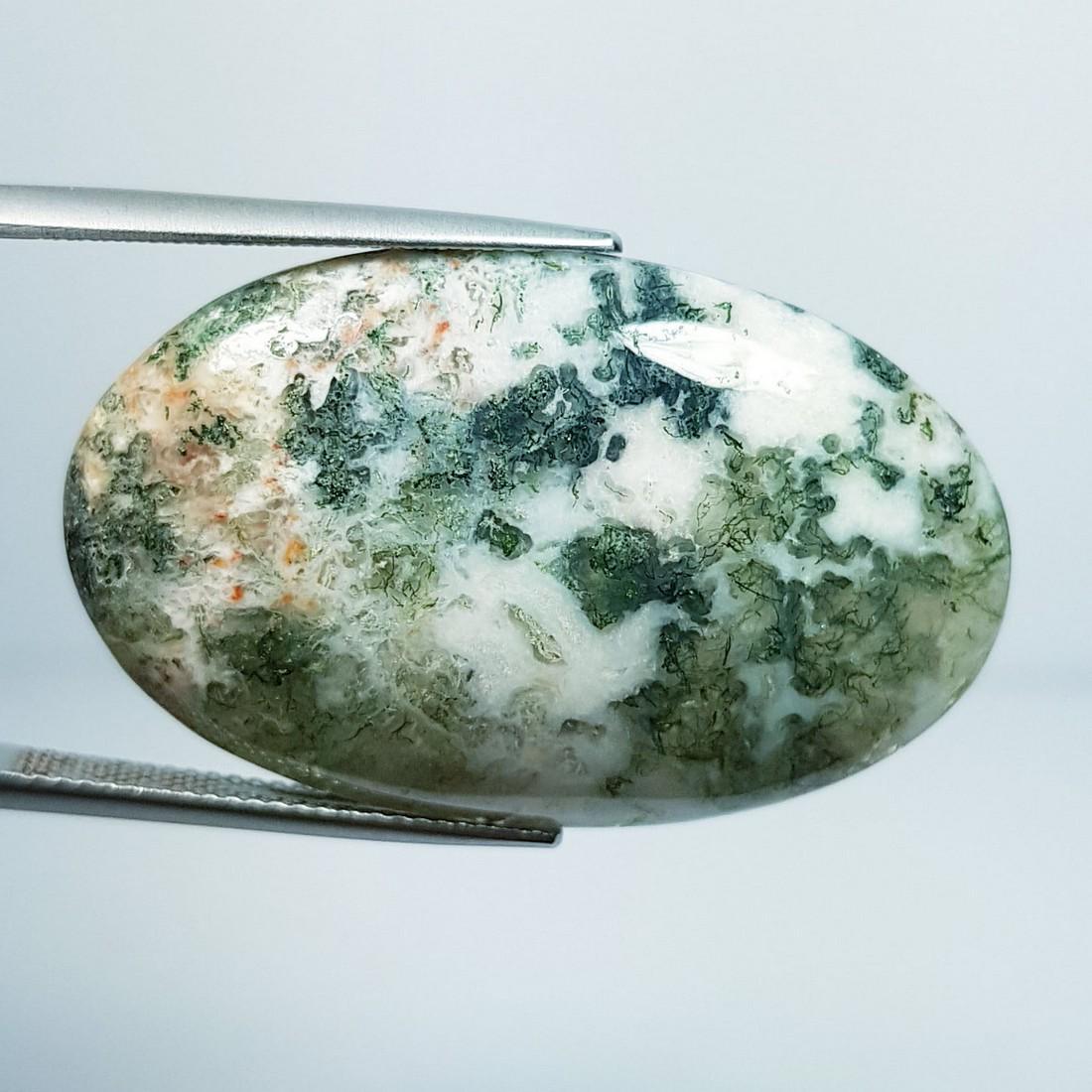 41.53 Ctz Natural Tree Jasper (1 of 3)