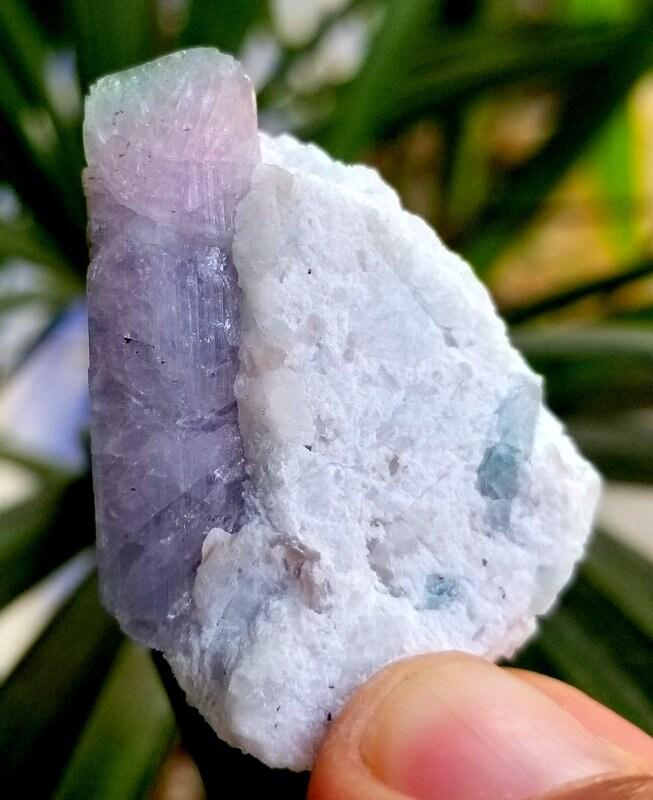 27 Gram Beautiful Bi Colour Tourmaline Crystal Specimen From Paprok Afghanistan (1 of 7)