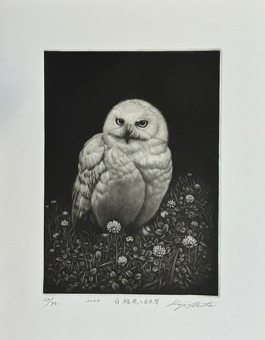 Koji Ikuta (B. - 1953): White Fukuro And Old White Nail Grass (1 of 1)