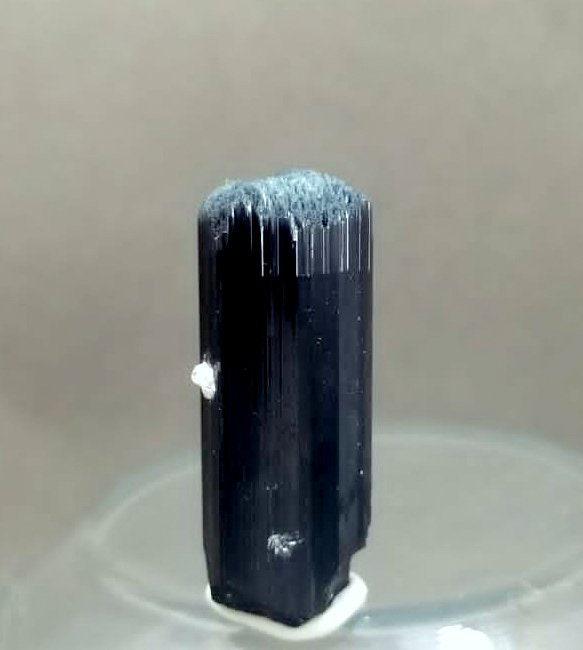 17 Grams Lovely Natural lite Blue Caif Tourmaline Crystal with Aquamarine Specimen From Skardu: 17 Grams Lovely Natural lite Blue Caif Tourmaline Crystal with Aquamarine Specimen From Skardu pakistan size 40mm 15mm 19mm weight 17 Grams Reserve: $25.00 Shipping: Domestic: Flat-rate of $10.00 to a