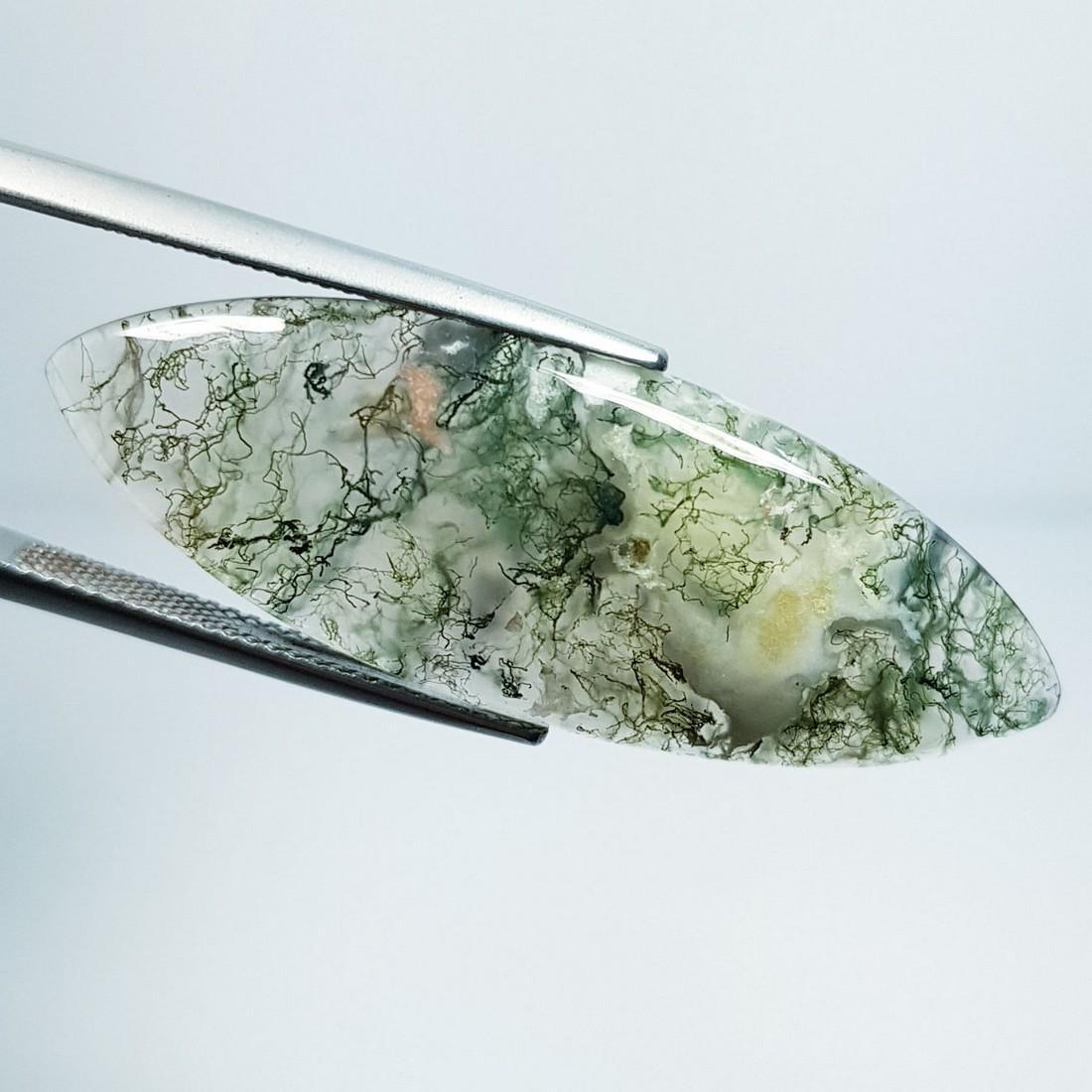 22.91 Ctz Natural Tree Jasper (1 of 4)