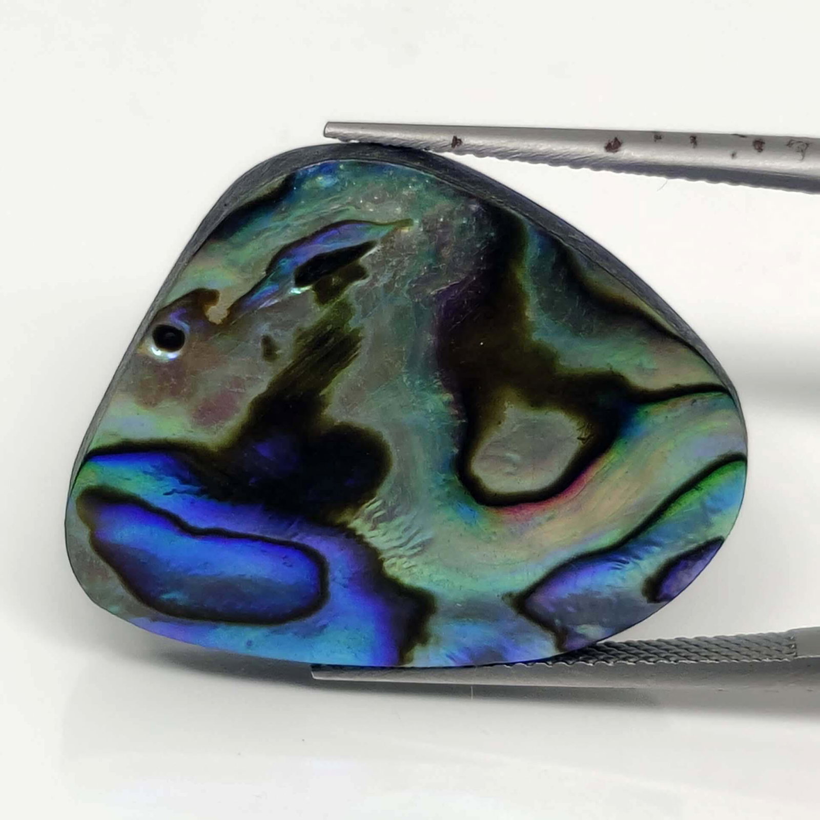 31.15 ct Natural Australian Abalone Shell: No Reserve! Title: 31.15 ct Natural Australian Abalone Shell Additional Information: Gemstones: Natural Abalone Shell Carat Weights: 31.15 ct Size/Dimensions: 28 X 22 X 5.70 mm Materials & Techniques: