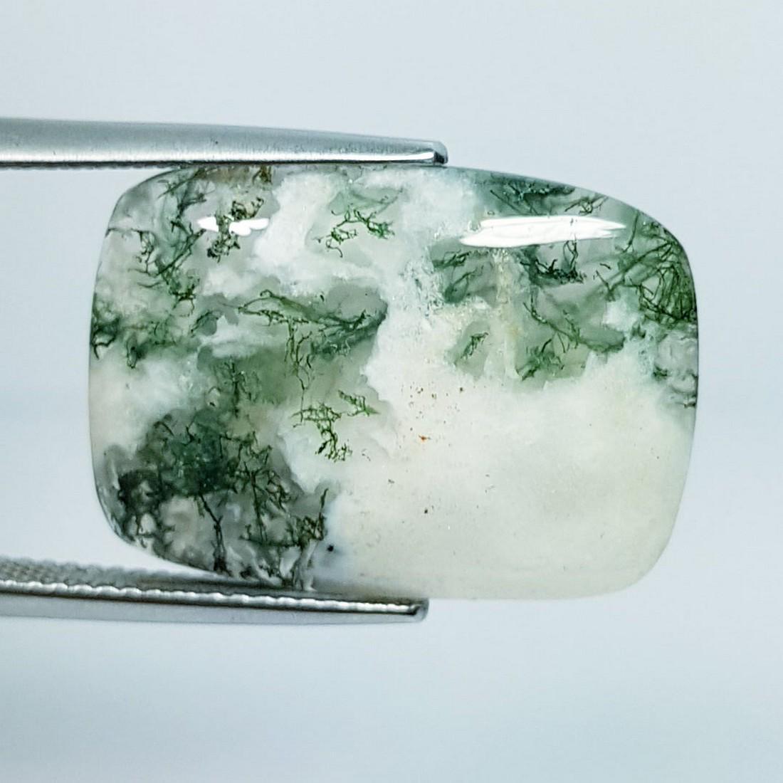 14.86 Ctz Natural Tree Jasper (1 of 3)