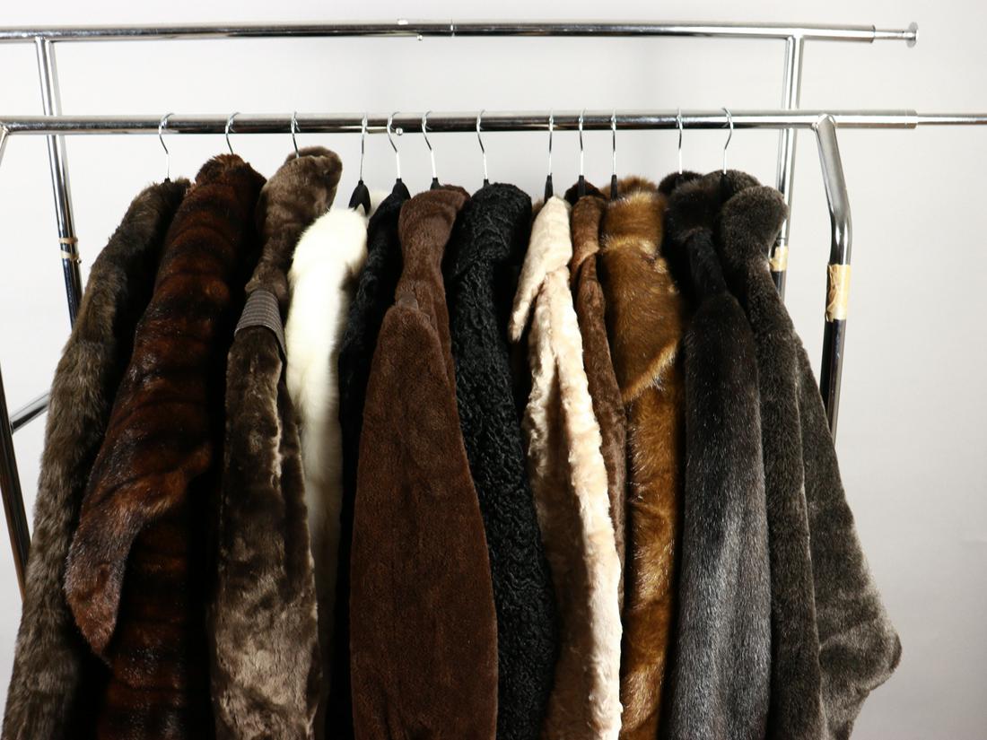 COLLECTION OF 12 FAUX FUR COATS/JACKETS: Title: COLLECTION OF 12 FAUX FUR COATS/JACKETS Size/Dimensions: COLLECTION OF 12 FAUX FUR COATS/JACKET Additional Information: perfect for resale Reserve: $140.00 Shipping: Domestic: Flat-rate of $260