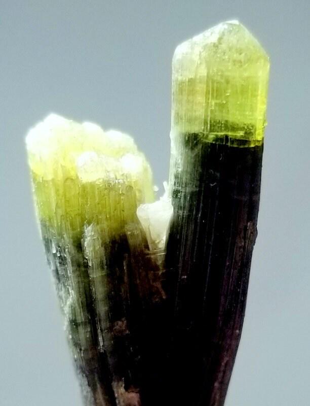 8 Gram lovely Twin Green Kaif Tourmaline Crystals From Astaknala skardu pakistan: Description 8 Gram Twin Green Kaif Tourmaline crystal From Astak nala skardu pakistan size 40mm 13mm 10mm weight 8 Gram Reserve: $30.00 Shipping: Domestic: Flat-rate of $10.00 to anywhere within the
