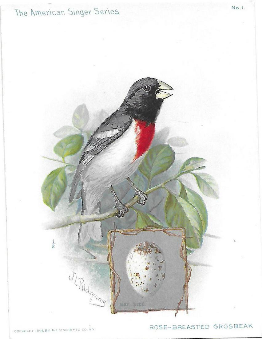 10 Singer Sewing Machine adverstising cards: J. L. Ridgway (1 of 7)