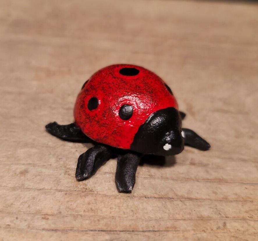 Cast Iron Lady Bug Good Luck (1 of 1)