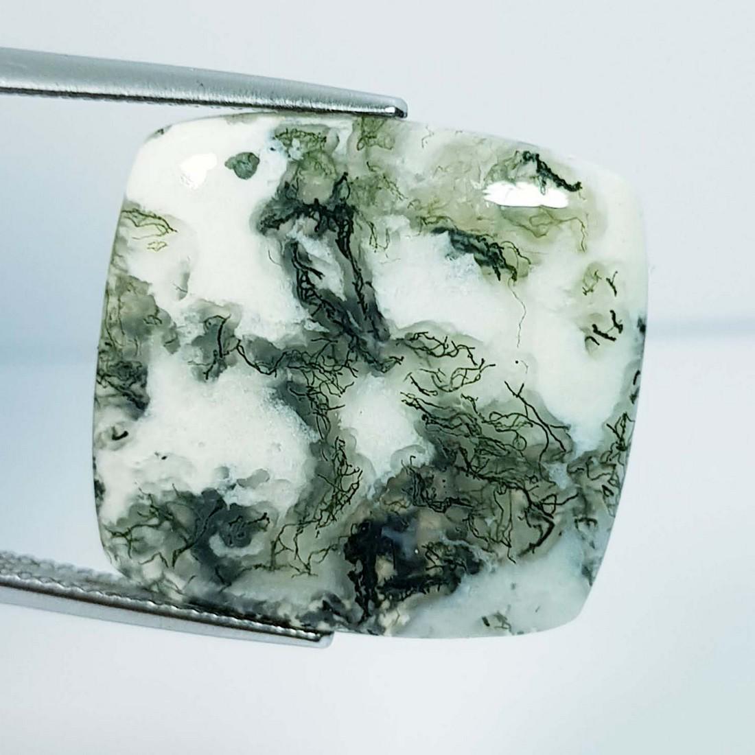 22.09 Ctz Natural Tree Jasper (1 of 4)