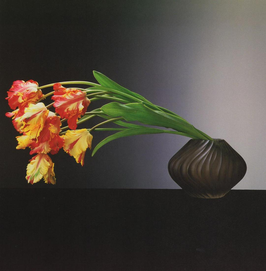 MAPPLETHORPE - Parrot Tulips, 1988 (1 of 1)