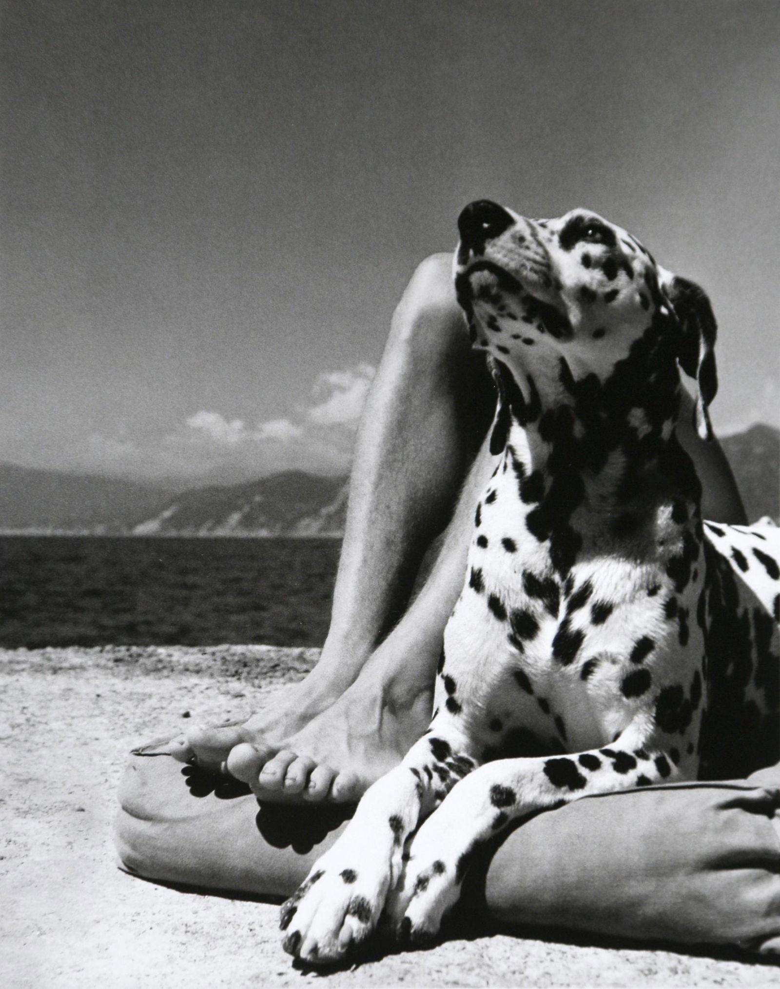 Herbert List: Portofino, 1936: Artist: Herbert List Title: Portofino, 1936 Print Date: 2008 Medium: High Quality Photo Lithograph Print with Copyright Herbert List / Magnum Photos Print Origin: Printed in Italy - Portfolio Edition