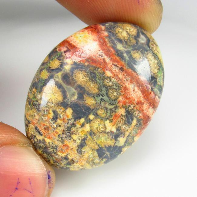 Natural Picture Jasper - 33.95 Ct: No Reserve! Title: Natural Picture Jasper - 33.95 Ct Origin: Brazil Weight: 33.95 Size/Dimensions: 30.0 x 23.0 x 7.2 mm Additional Information: Pieces : 1 No's / Shape : Oval Cabochon / Color : Brown